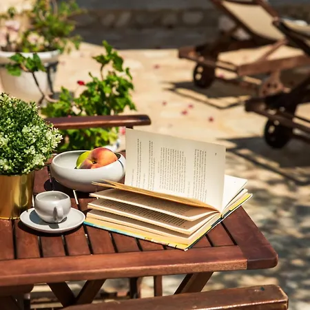 Ftenagia Semesterbostad *